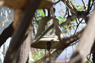 爱游戏体育app-NBA球员转会市场动态，nba转会名单