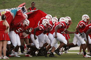 爱游戏下载-全国城际定向越野赛青少年组吸引众多参赛者，全国定向越野锦标赛